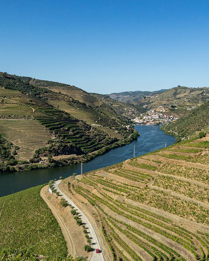 Porto Walking Tours - Special Moments Tours