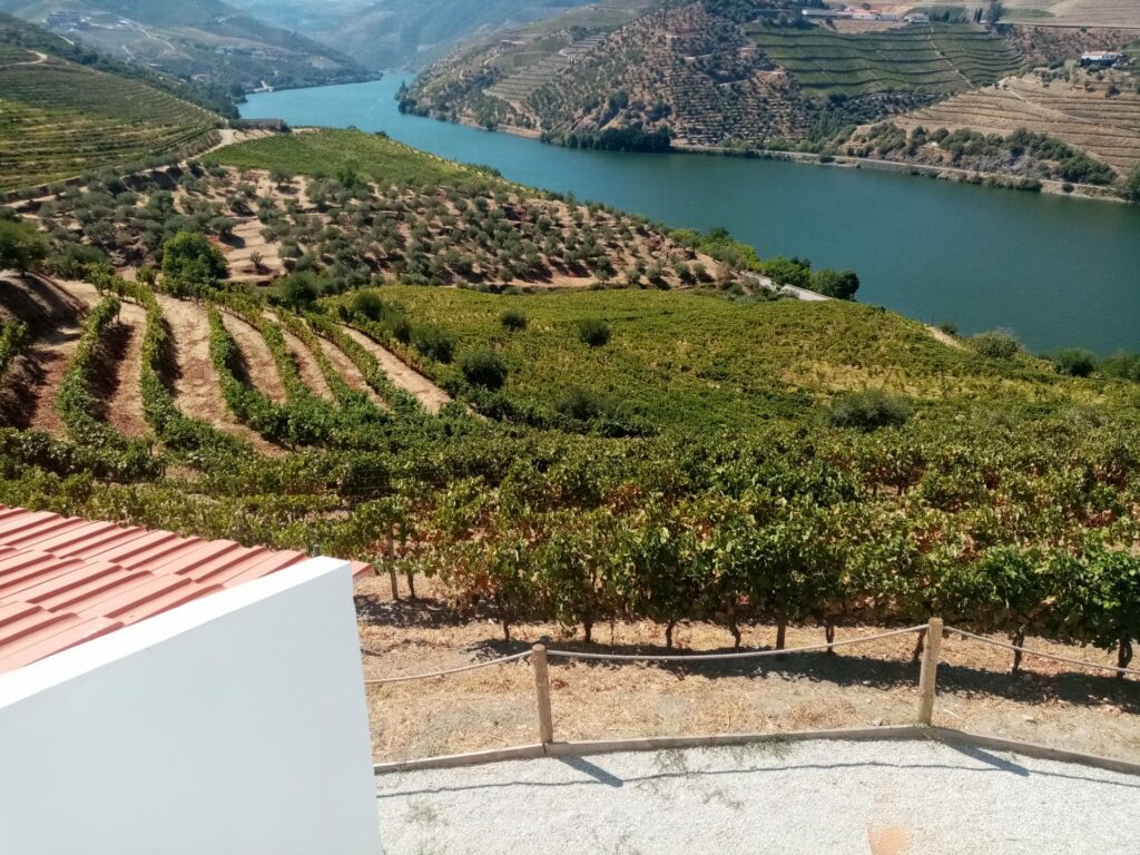 Douro Valley Tour - Quinta S. Luis - Special Moments Tours