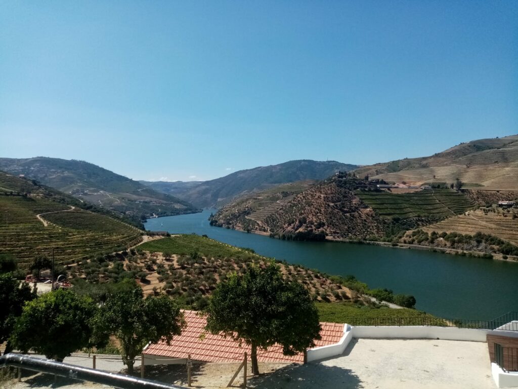 Douro Valley Tour - Quinta S. Luis - Special Moments Tours